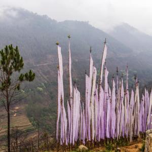 PRAYING FLAGS IN PUNAKHA BHUTAN - 1