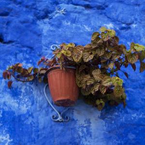 THE TOWN OF BLUE CHEFCHAOUEN MOROCCO - 7