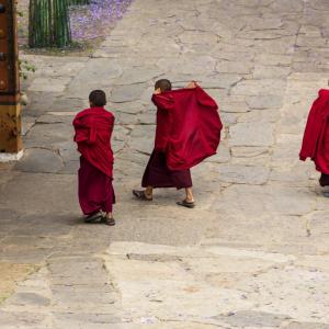 PUNAKHA DZONG BAHÇELERİNDE BUTAN - 1