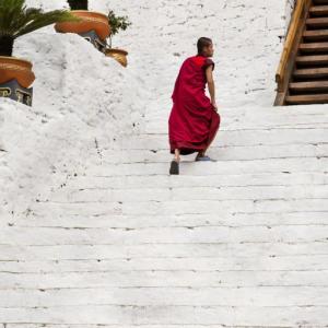   AT THE STAIRS OF PUNAKHA DZONG BHUTAN - 2