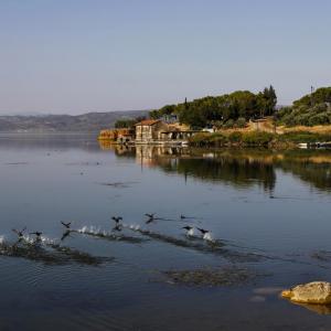 LAKE MARMARA MANISA TURKEY - 4